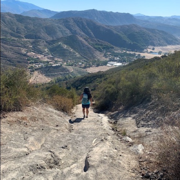 Meet your Posher, Jazzy - Picture 1 of 1